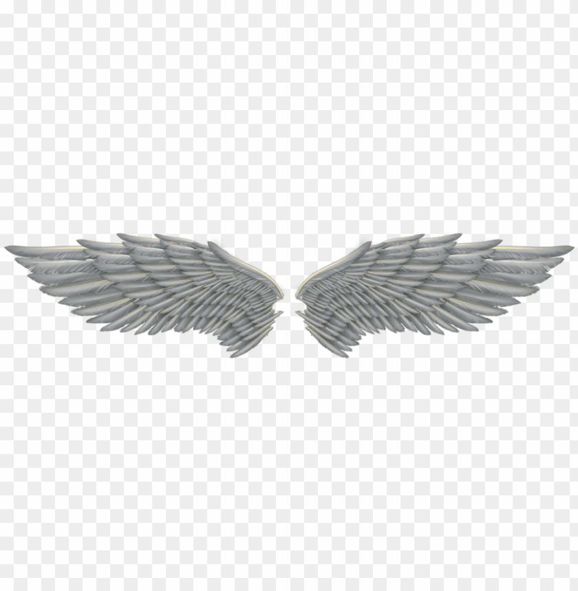 Detail Wings Transparent Background Nomer 41