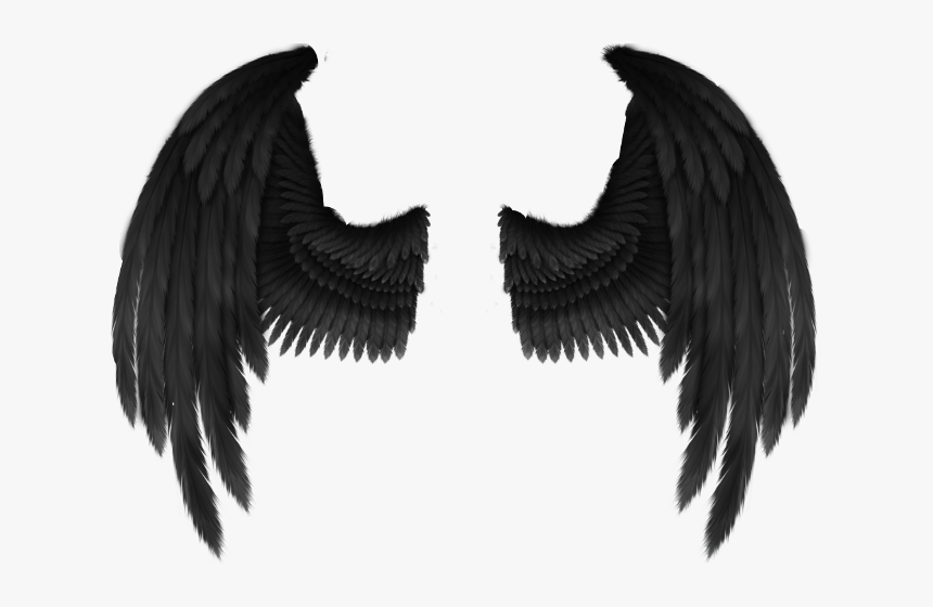 Detail Wings Transparent Background Nomer 42