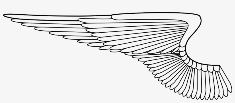 Detail Wings Transparent Background Nomer 43