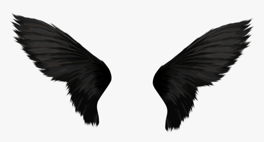 Detail Wings Transparent Background Nomer 44