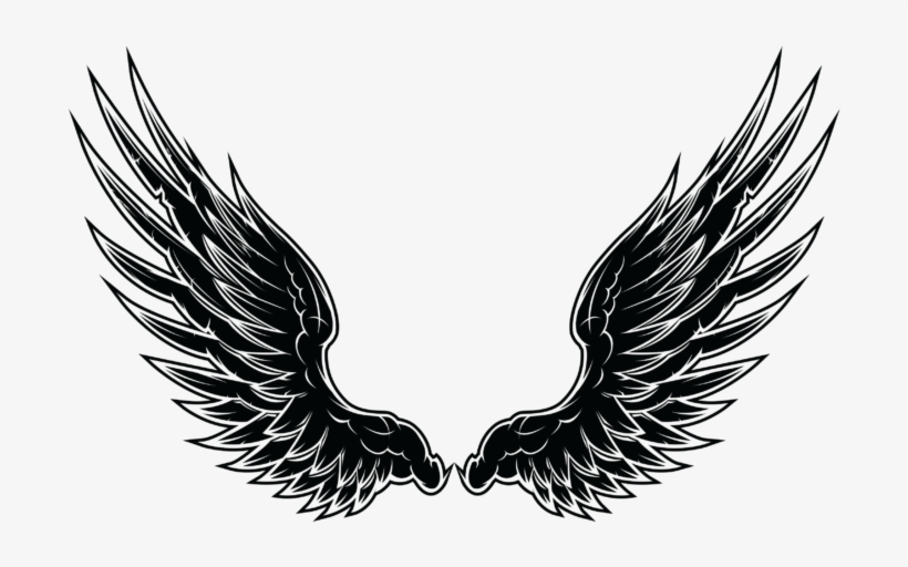 Detail Wings Transparent Background Nomer 46