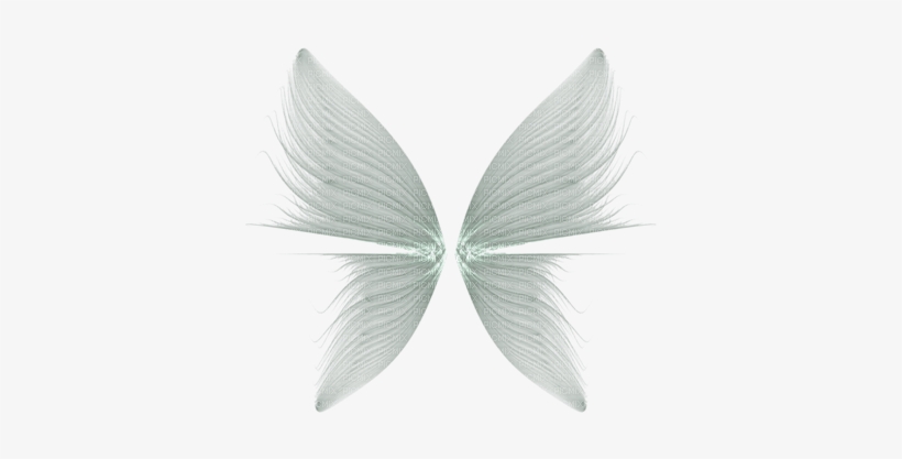 Detail Wings Transparent Background Nomer 48