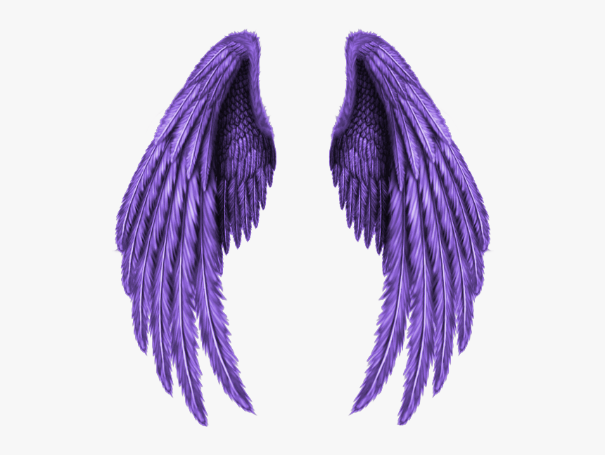 Detail Wings Transparent Background Nomer 51