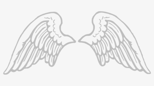 Detail Wings Transparent Background Nomer 53
