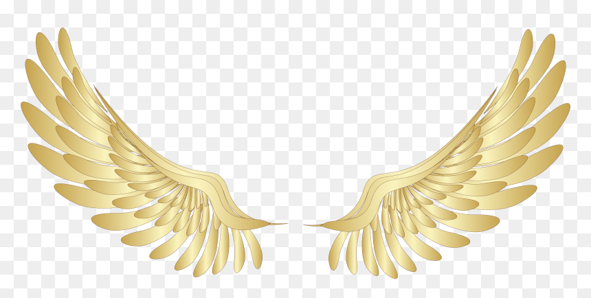 Detail Wings Transparent Background Nomer 55