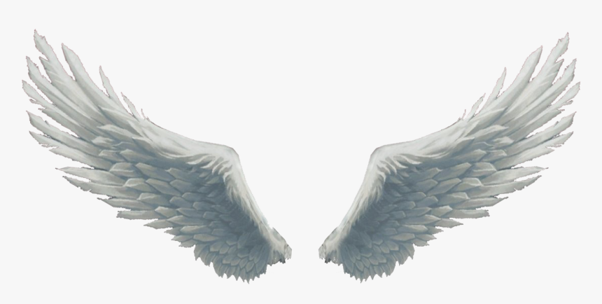 Detail Wings Transparent Background Nomer 6