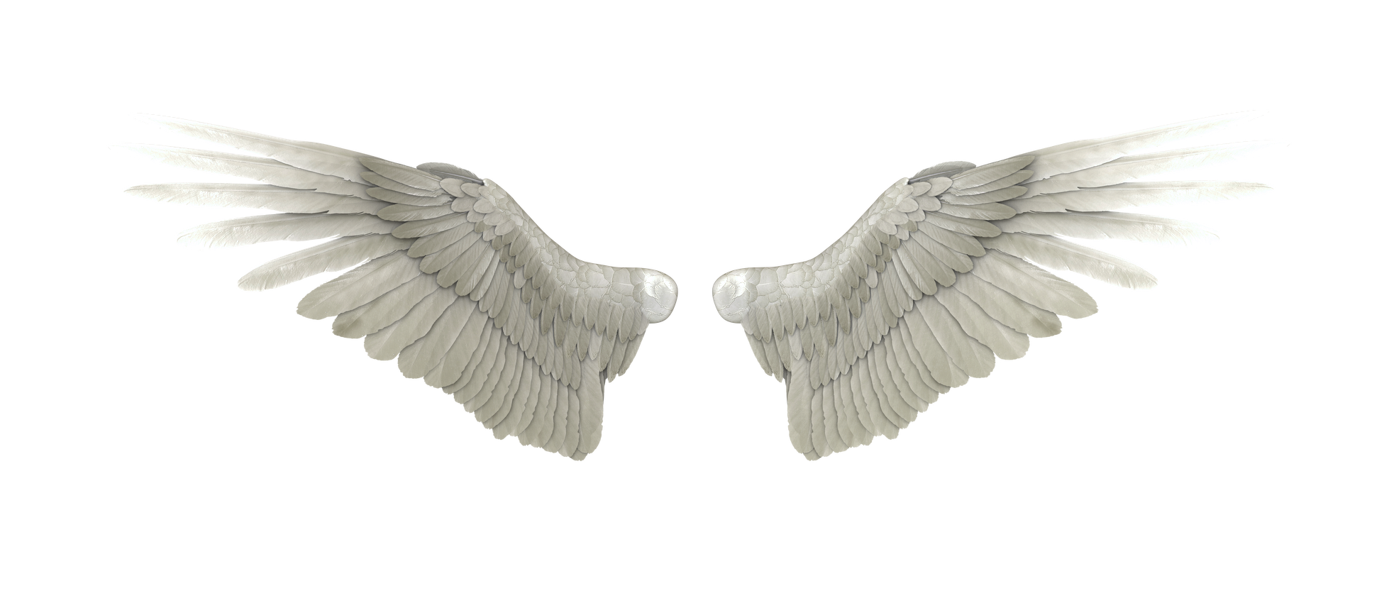 Detail Wings Transparent Png Nomer 10