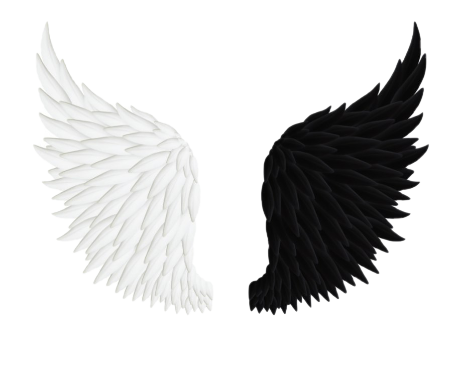 Detail Wings Transparent Png Nomer 17