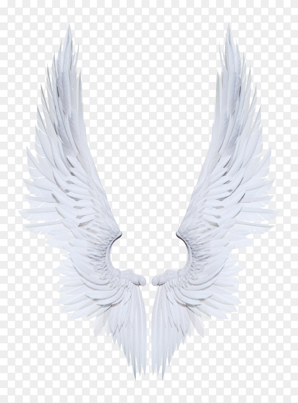 Detail Wings Transparent Png Nomer 20