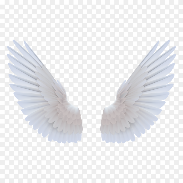 Detail Wings Transparent Png Nomer 30