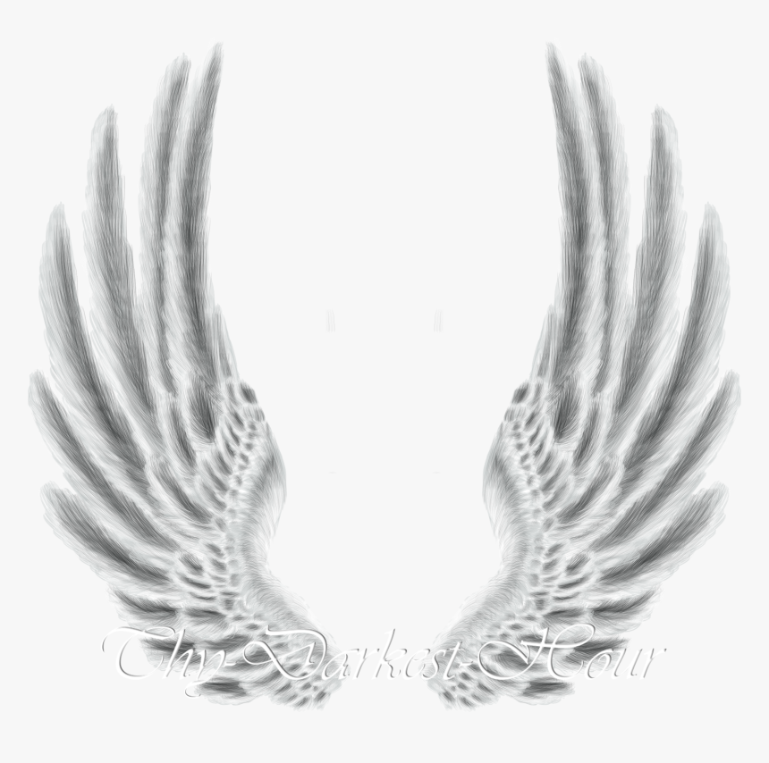 Detail Wings Transparent Png Nomer 33