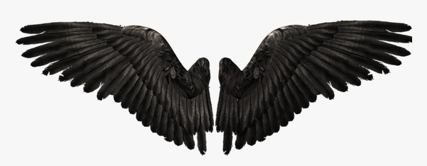 Detail Wings Transparent Png Nomer 43