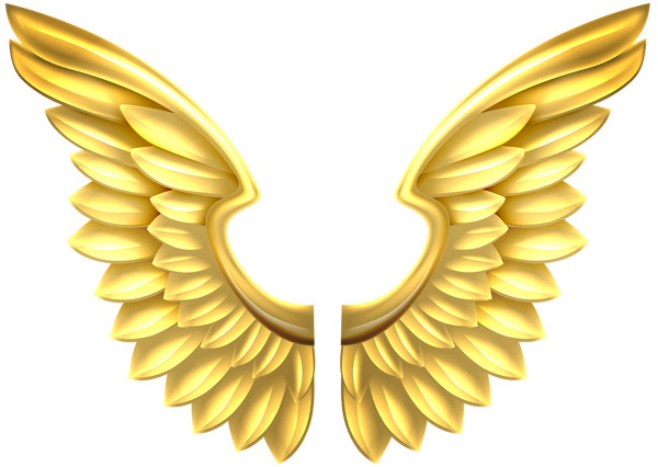 Detail Wings Transparent Png Nomer 50