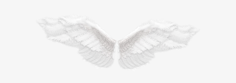 Detail Wings Transparent Png Nomer 56