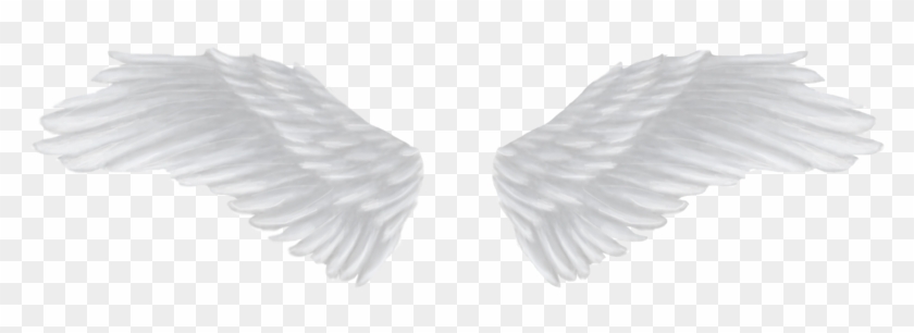 Detail Wings Transparent Png Nomer 7