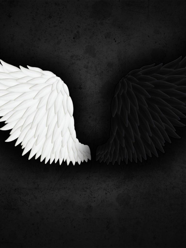 Detail Wings Wallpaper Nomer 12