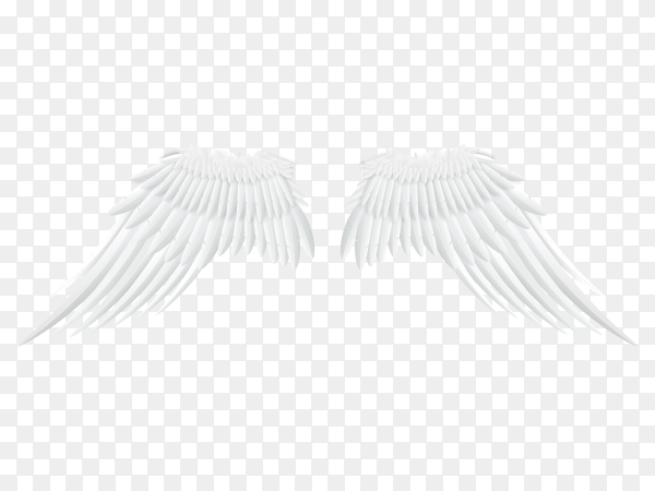 Detail Wings With Transparent Background Nomer 24