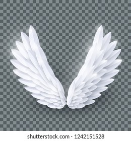 Detail Wings With Transparent Background Nomer 38