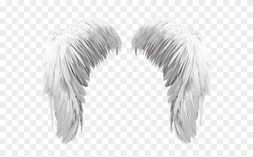 Detail Wings With Transparent Background Nomer 41