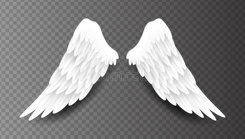 Detail Wings With Transparent Background Nomer 50