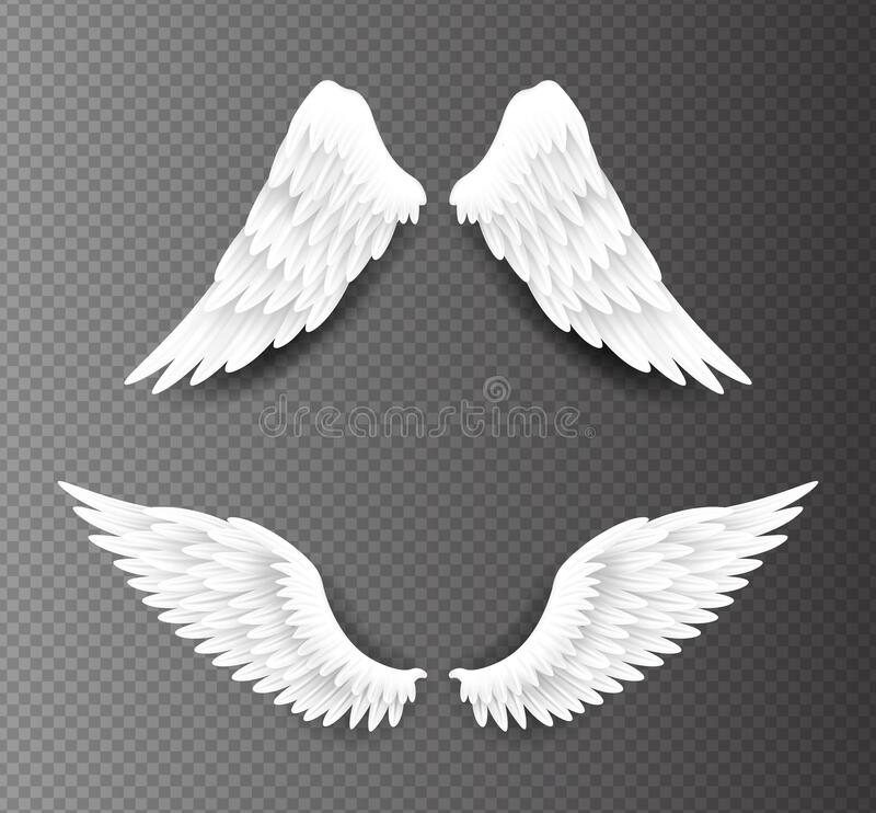 Detail Wings With Transparent Background Nomer 51