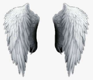 Detail Wings With Transparent Background Nomer 8