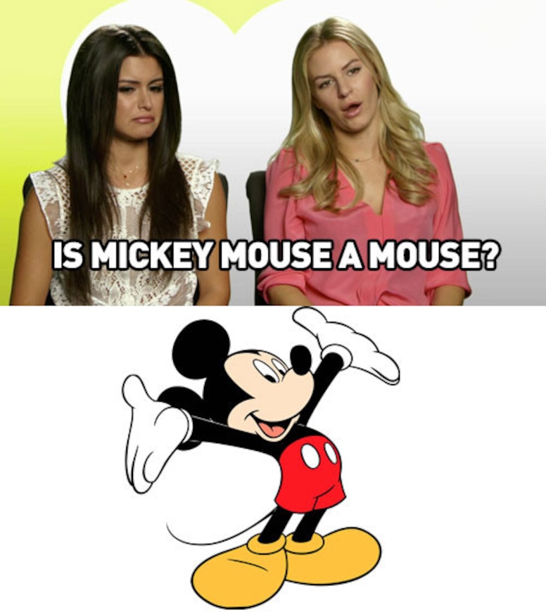 Detail Winnie The Pooh And Mickey Mouse Meme Nomer 38