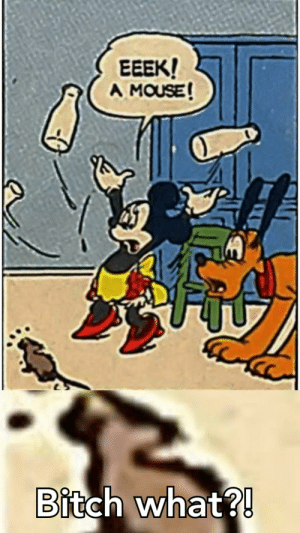 Detail Winnie The Pooh And Mickey Mouse Meme Nomer 42