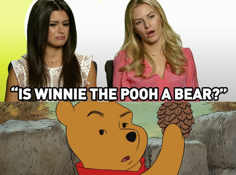 Detail Winnie The Pooh And Mickey Mouse Share Clothes Nomer 26