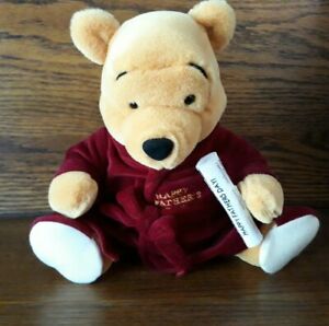 Detail Winnie The Pooh Bathrobe Nomer 51