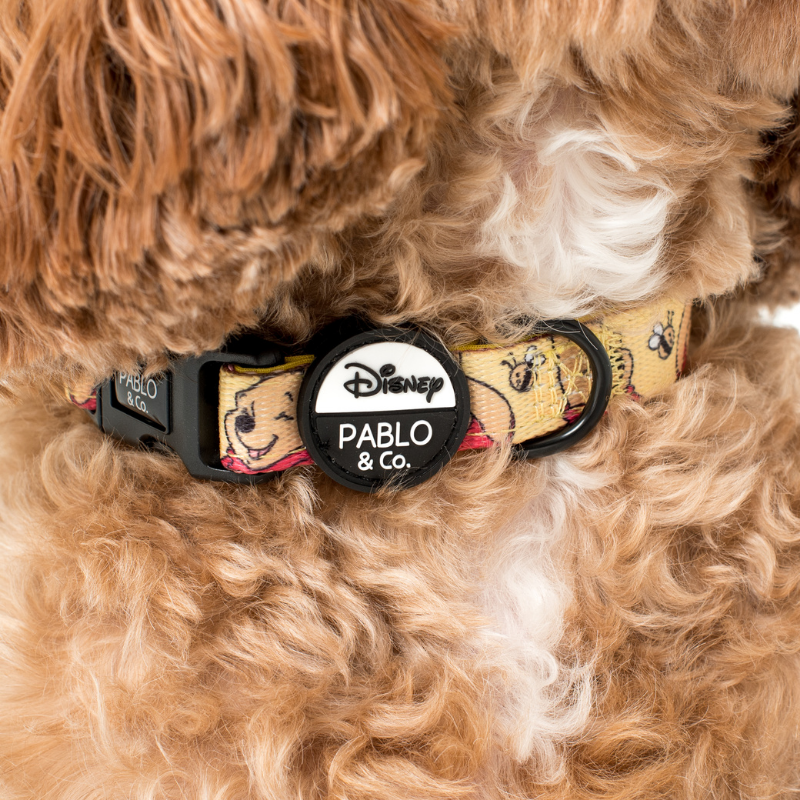 Detail Winnie The Pooh Dog Collar Nomer 45