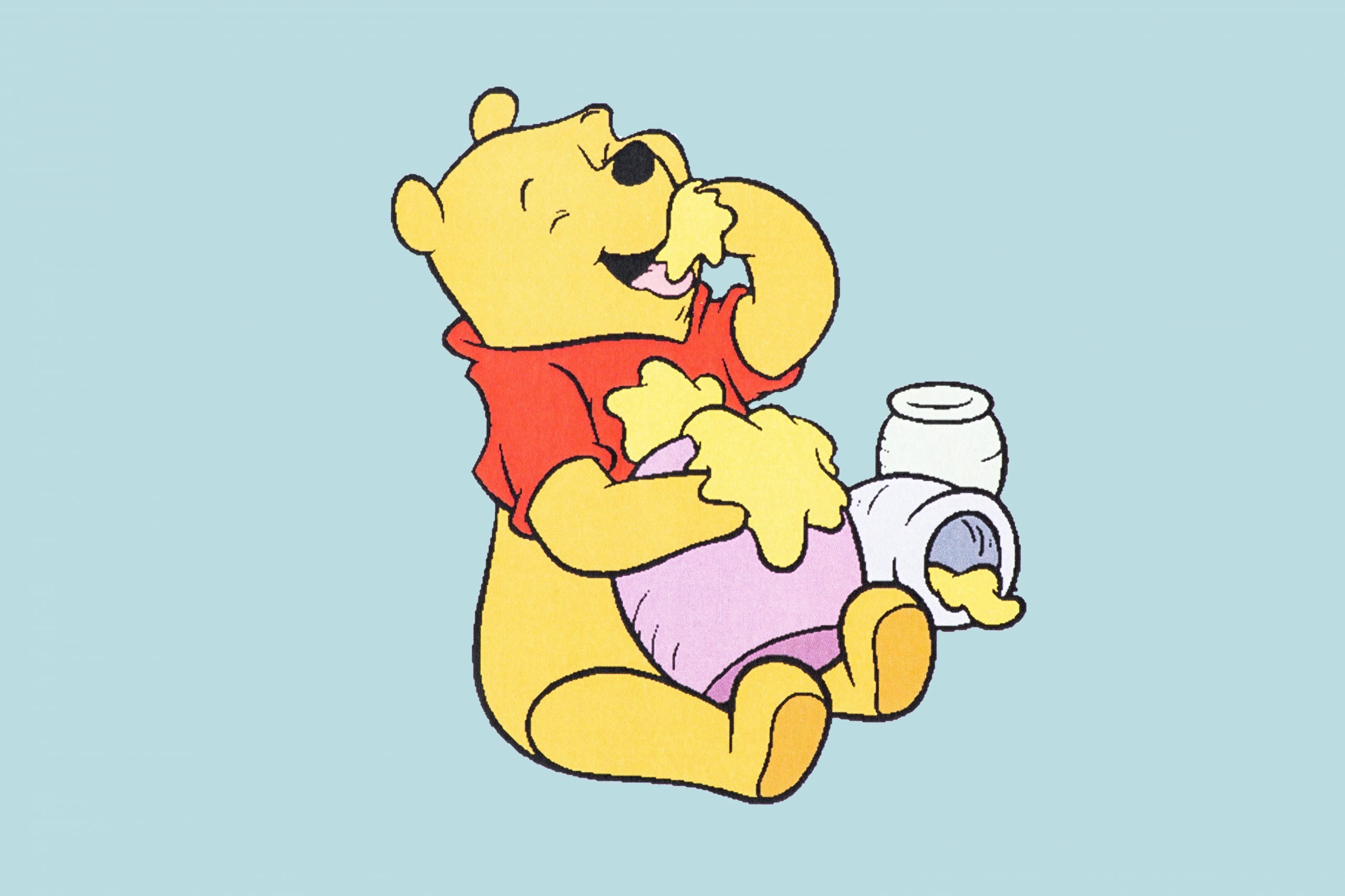 Detail Winnie The Pooh Photo Nomer 27