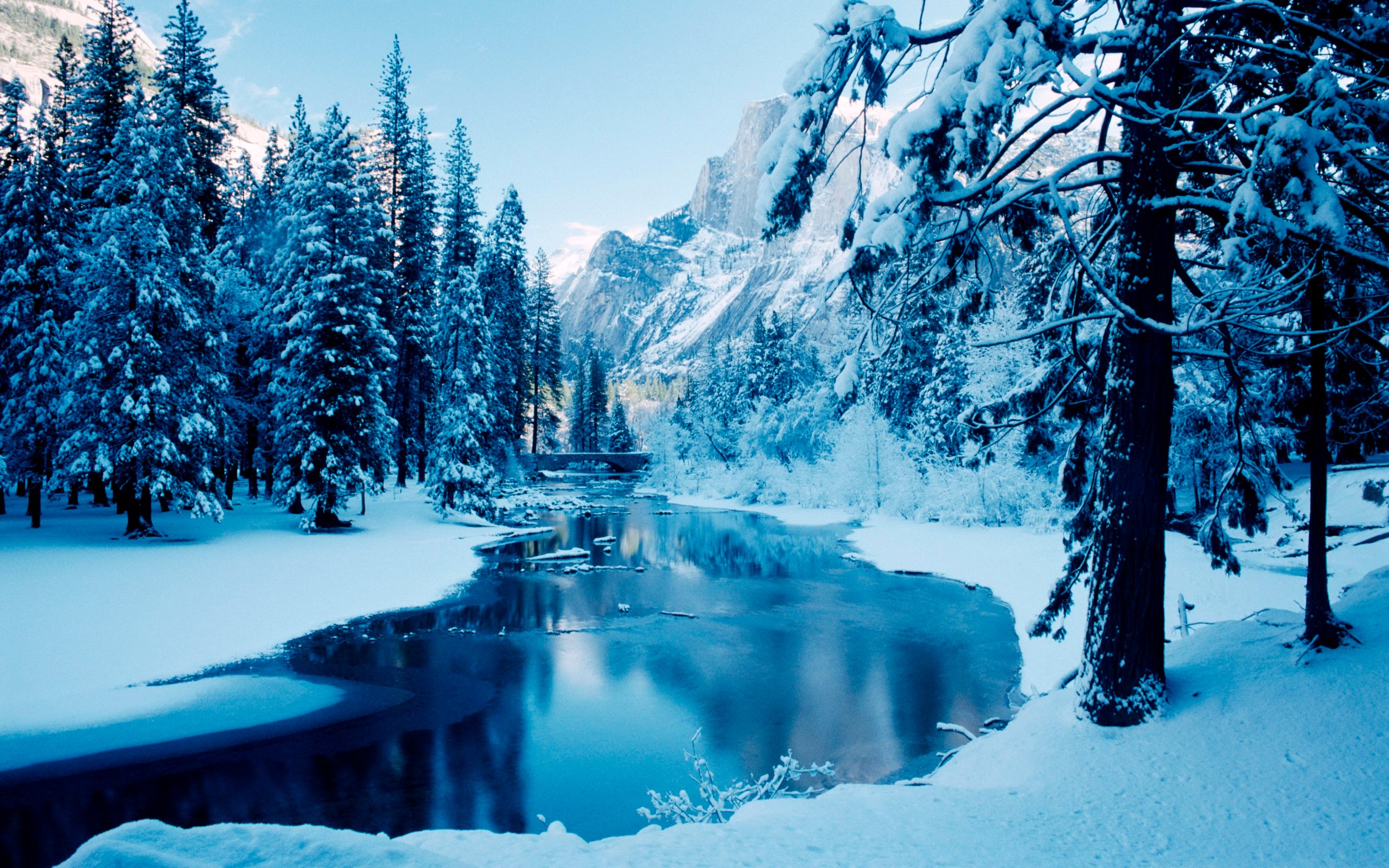 Detail Winter Background Hd Nomer 10