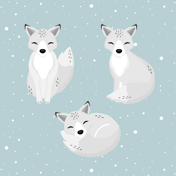 Detail Winter Fox Clipart Nomer 13