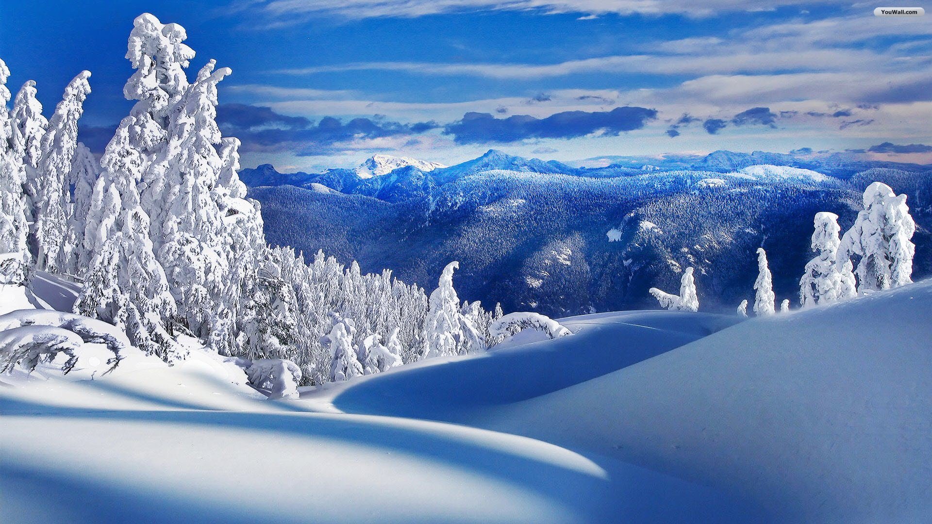 Detail Winter Images Free Download Nomer 33