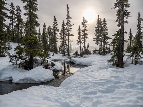 Detail Winter Images Free Download Nomer 39