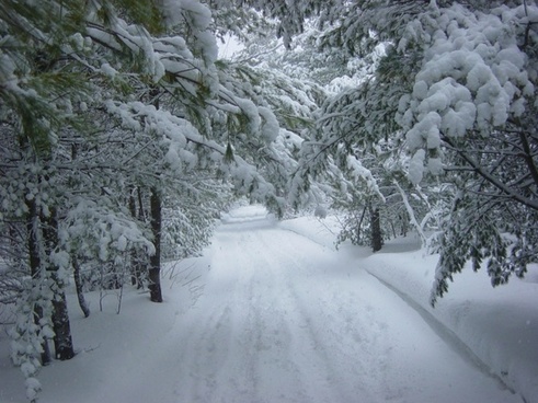 Detail Winter Images Free Download Nomer 46