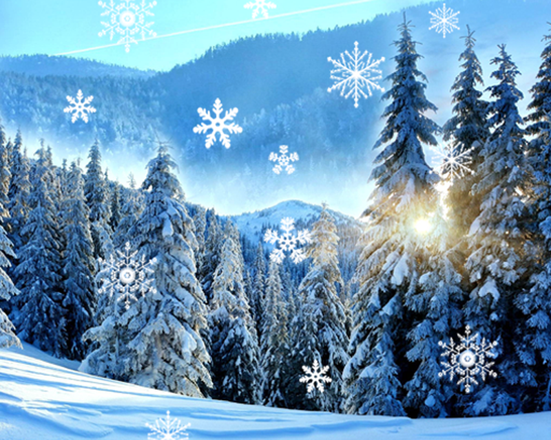 Detail Winter Live Wallpaper Nomer 41