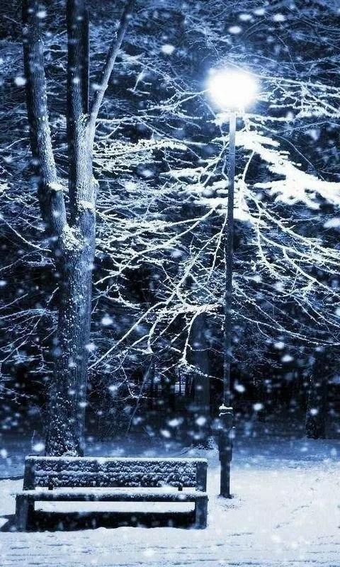Detail Winter Live Wallpaper Nomer 57