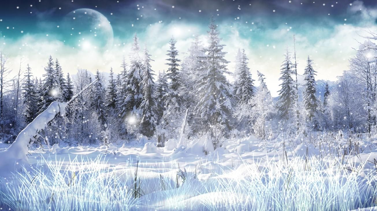 Detail Winter Live Wallpaper Nomer 10