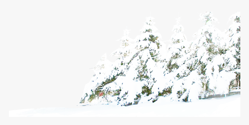 Detail Winter Transparent Background Nomer 15