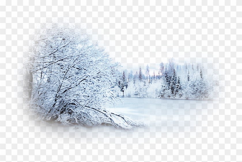 Detail Winter Transparent Background Nomer 22