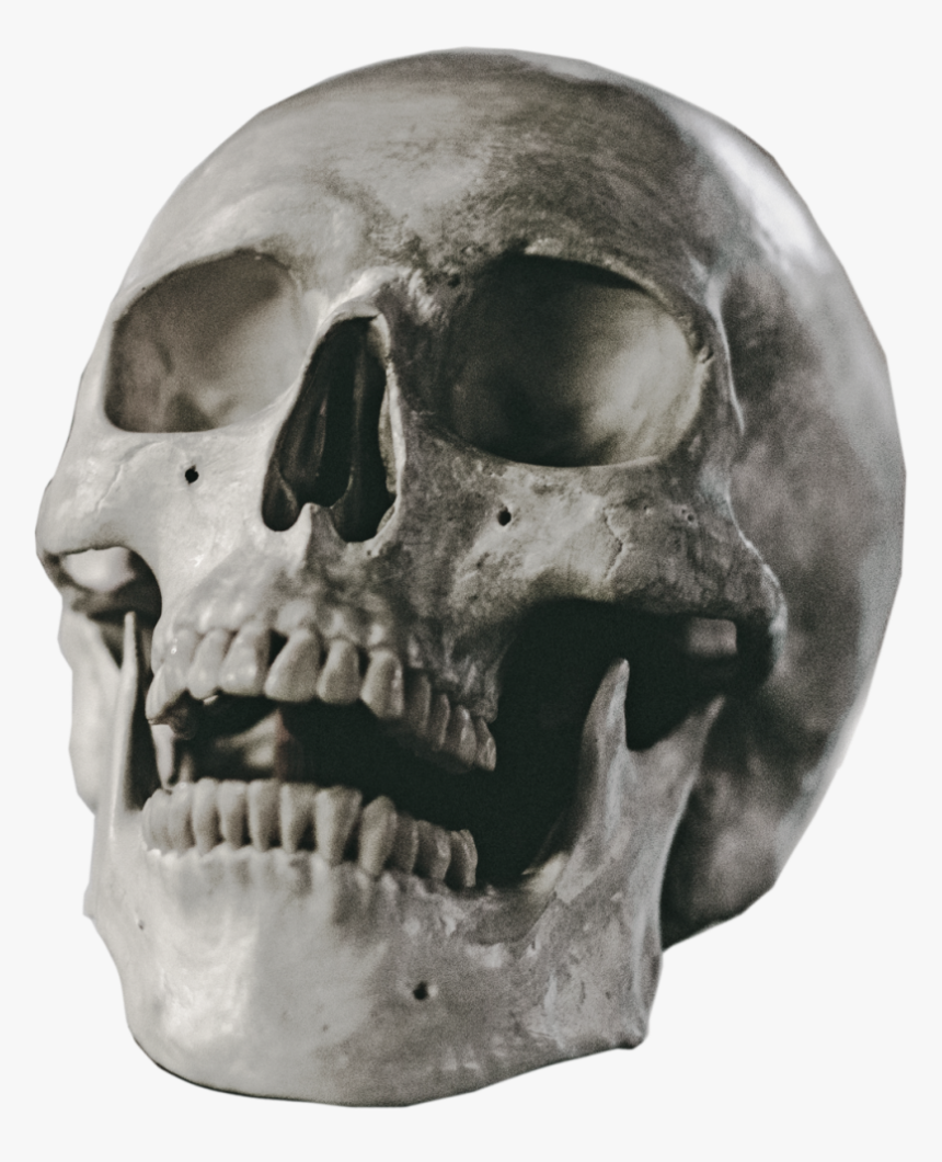 Detail Skull Png Transparent Nomer 23