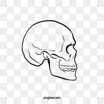 Detail Skull Side Png Nomer 24