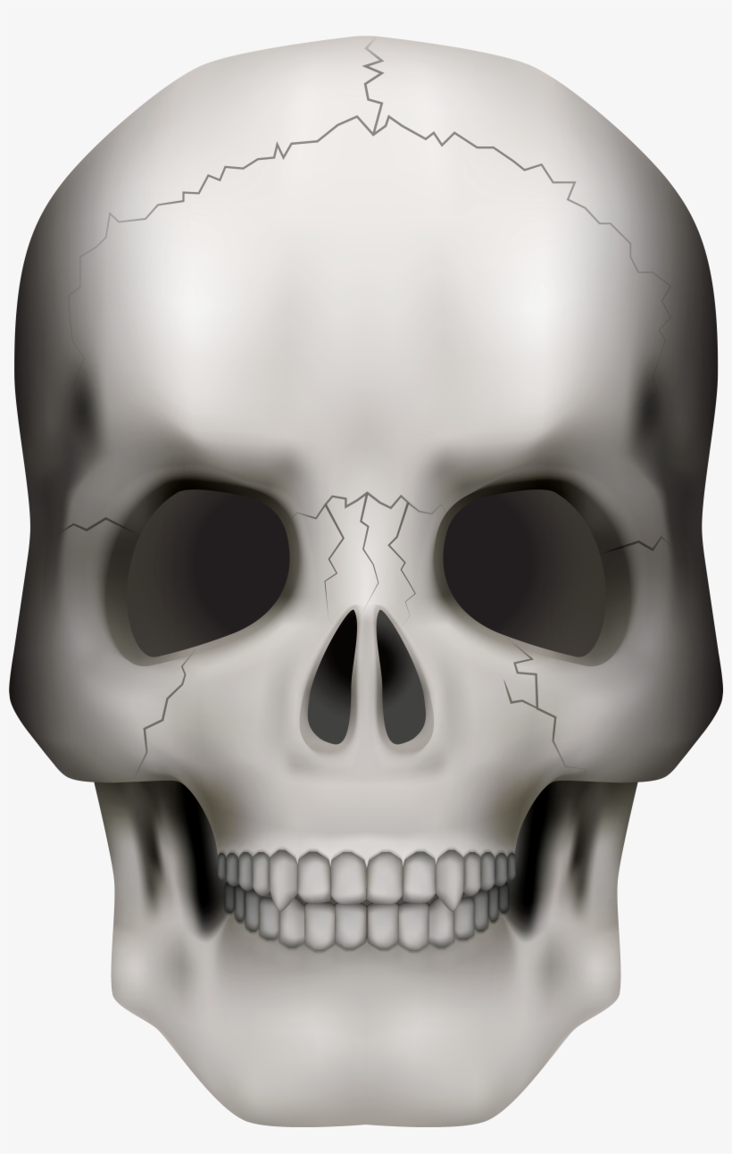 Detail Skull Transparent Nomer 22