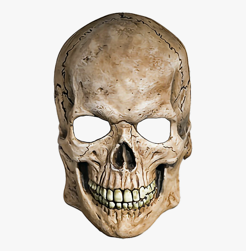 Detail Skull Transparent Nomer 5
