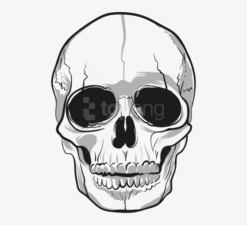 Detail Skull Transparent Background Nomer 10