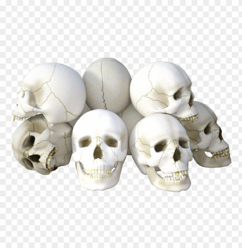 Detail Skull Transparent Background Nomer 29