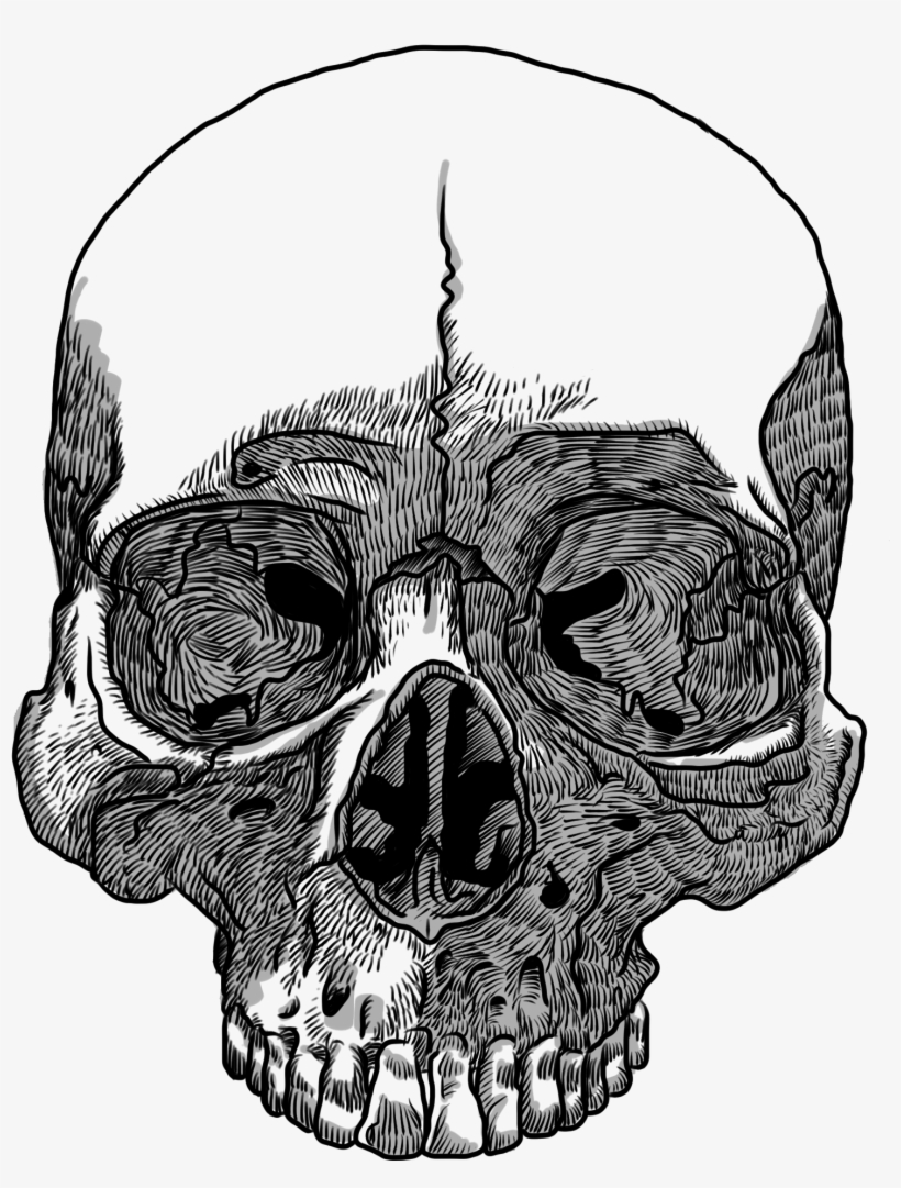 Detail Skull Transparent Background Nomer 34