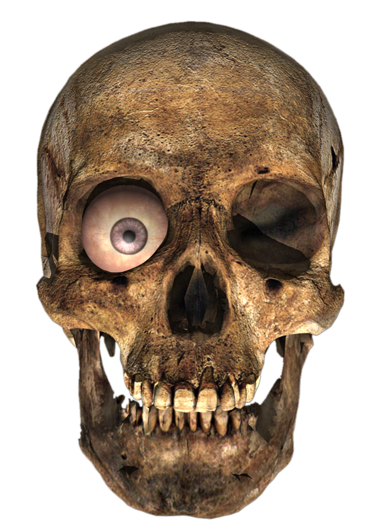 Detail Skull Transparent Background Nomer 35